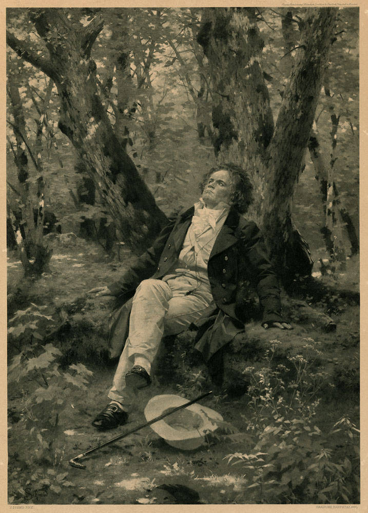 Beethoven is relaxing in a forest, looking up at the sky.