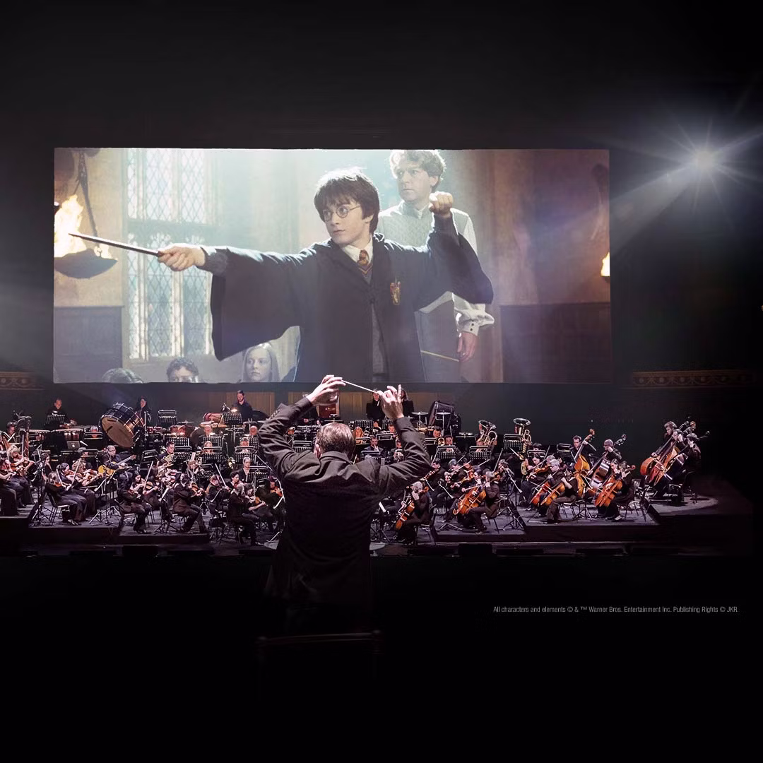 Harry Potter Chamber of Secrets