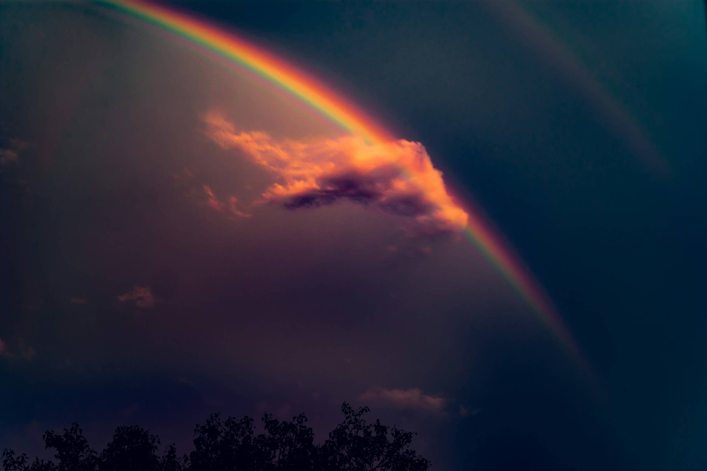 Rainbow arches across a twilight sky, glowing over dark clouds and silhouetted trees.