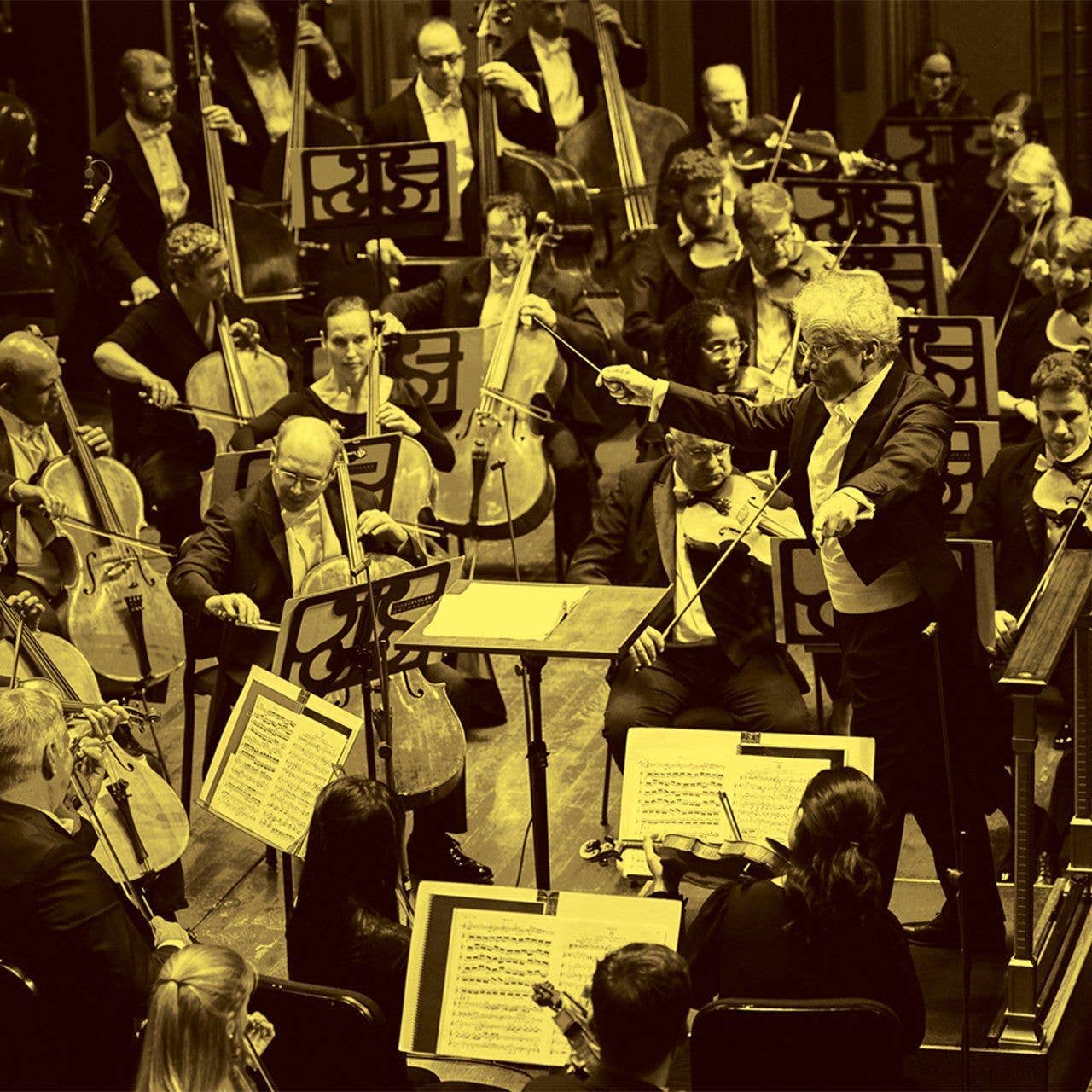 Wagner's Gotterdammerung