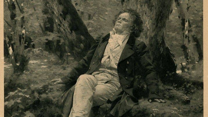 Beethoven is relaxing in a forest, looking up at the sky.