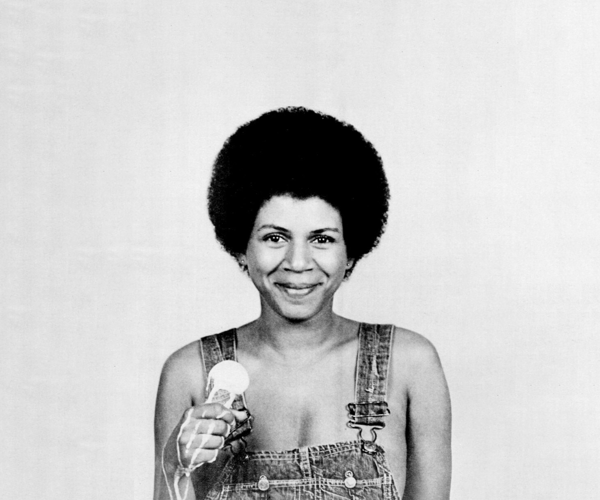 Thumbnail for Perfect Angel: The Definitive Minnie Riperton Tribute