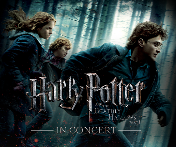 Harry Potter and the Deathly Hallows: Harry, Ron and Hermione