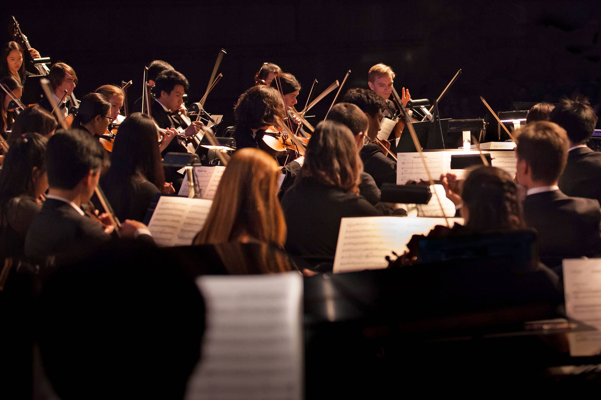 Thumbnail for American Youth Symphony