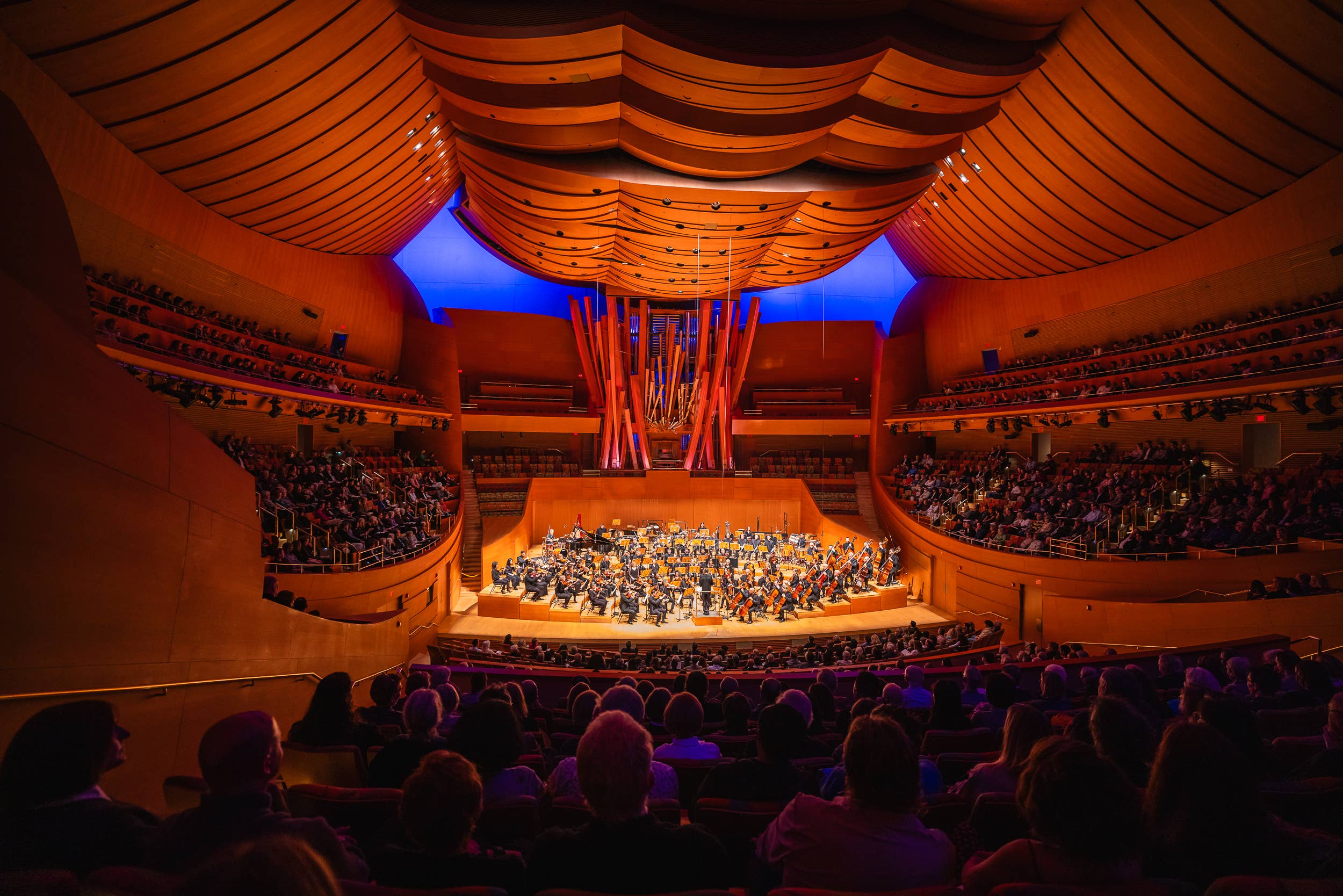 Concert hall with a large orchestra performing on stage under blue and orange lighting, viewed from the audience.