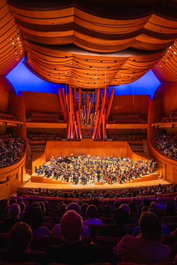 Concert hall with a large orchestra performing on stage under blue and orange lighting, viewed from the audience.