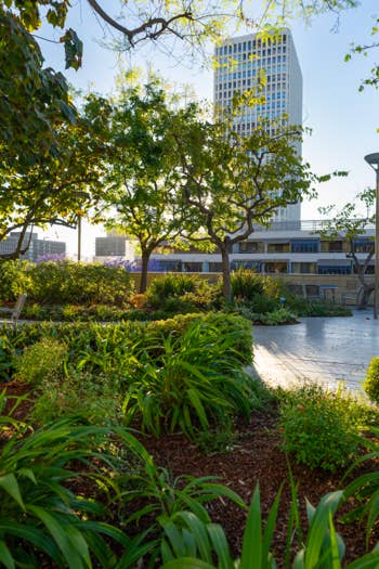 Garden patio with chairs, lush shrubs and trees beside a modern white building under a clear blue sky