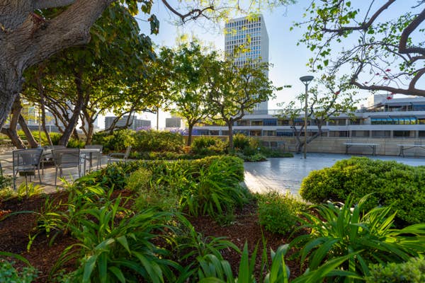 Patio ajardinado con sillas, arbustos frondosos y árboles junto a un moderno edificio blanco bajo un cielo azul y despejado