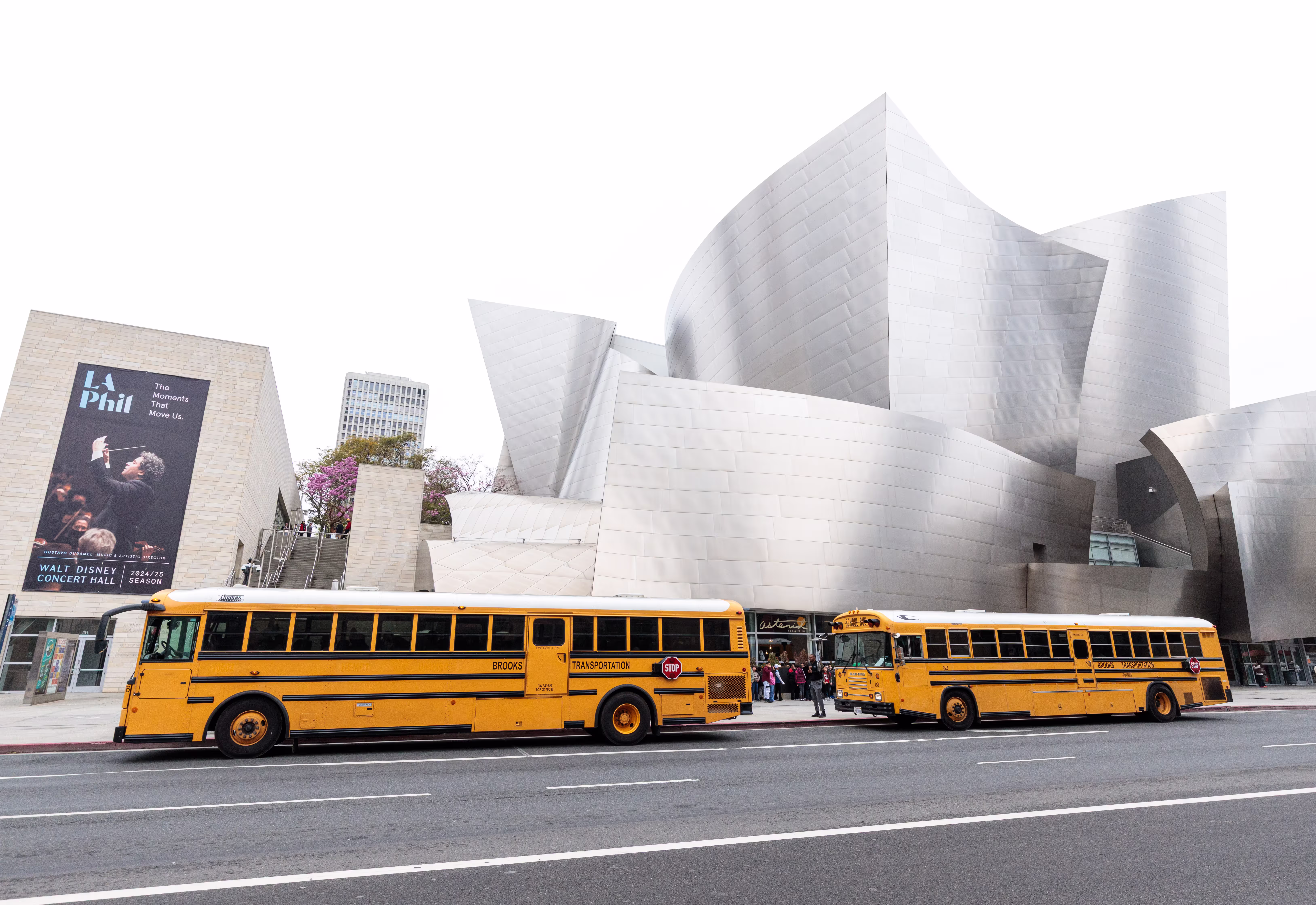 White concert hall with curved stone façade and two yellow buses parked in front, billboard on left