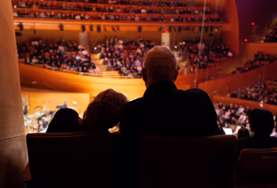 silueta de una pareja que asiste a un concierto