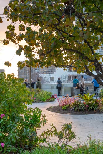 People chatting along a paved courtyard walkway under leafy trees beside office buildings at dusk