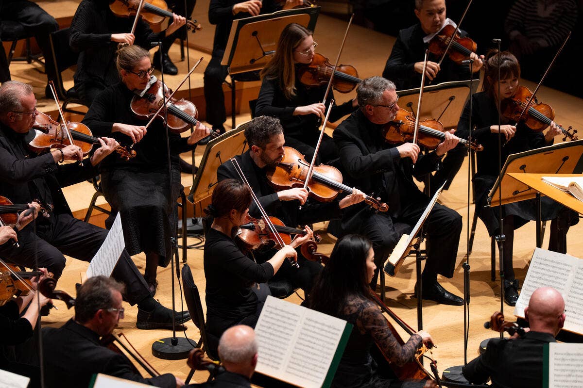 Orchestra musicians in black performing with violins and sheet music on a concert stage under warm lighting