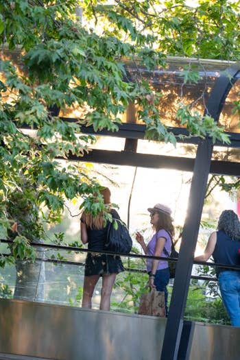 People visit a glass pavilion, framed by leafy trees as warm sunlight filters through.