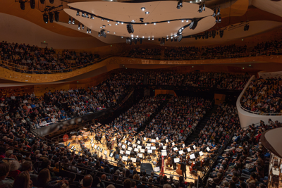 The orchestra playing on stage to a full audience during a performance.