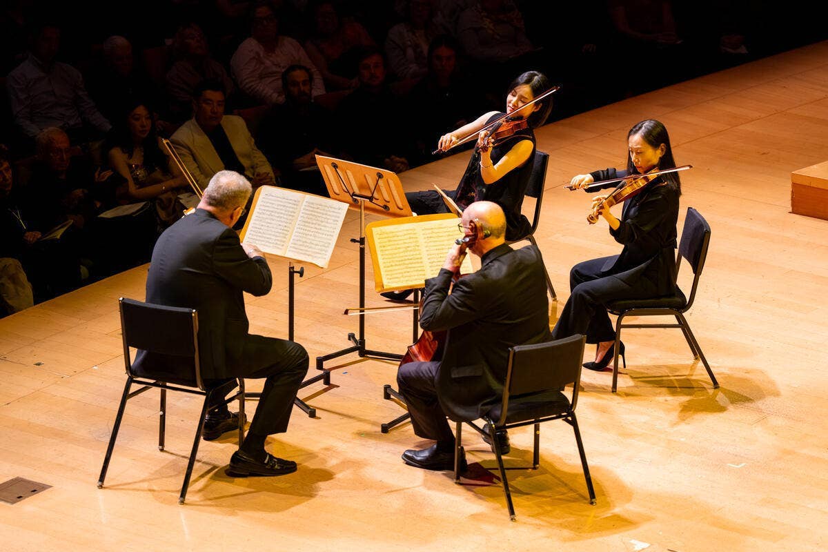 Orchestra musicians playing violins and viola on a lit concert stage with sheet music stands and audience in back