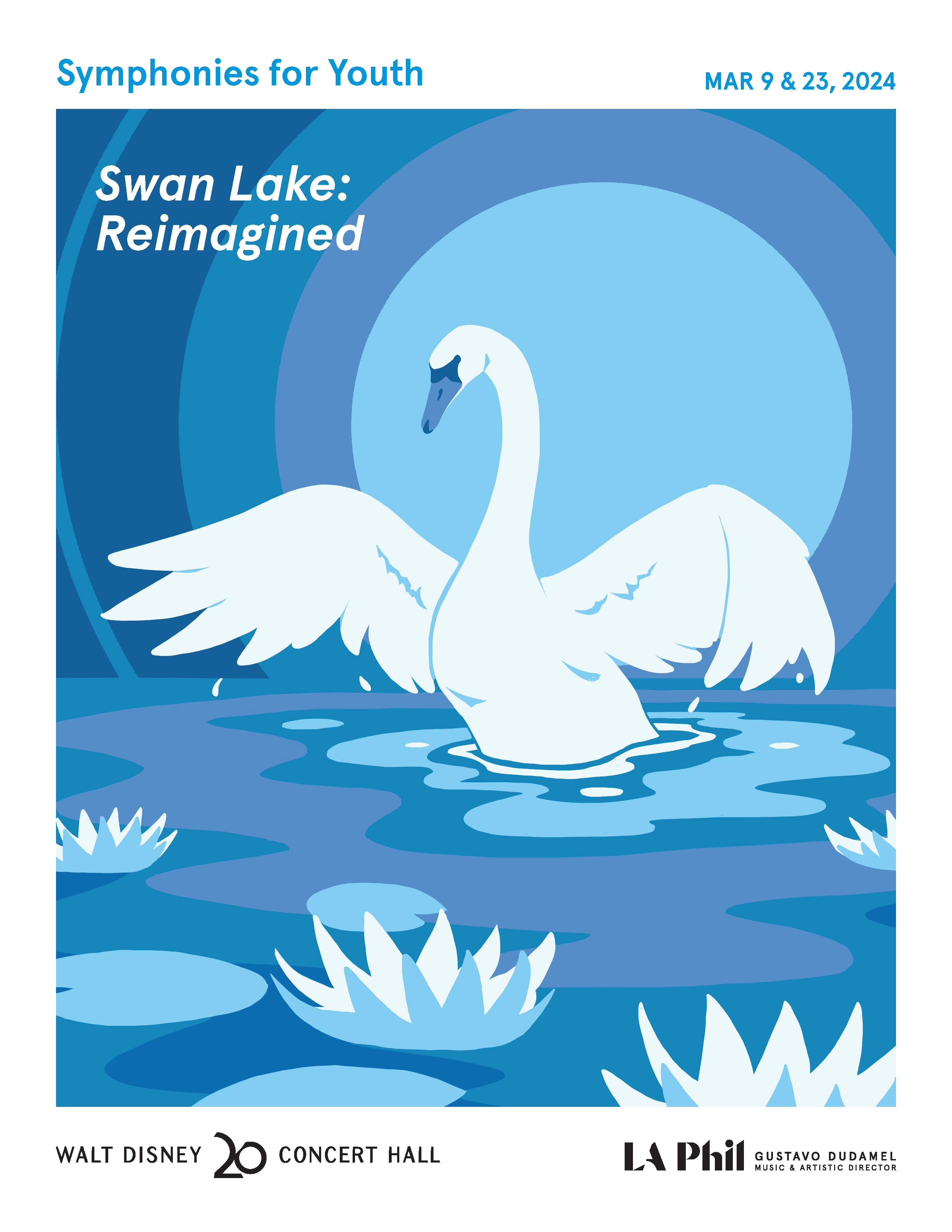 Swan Lake Reimagined Cover