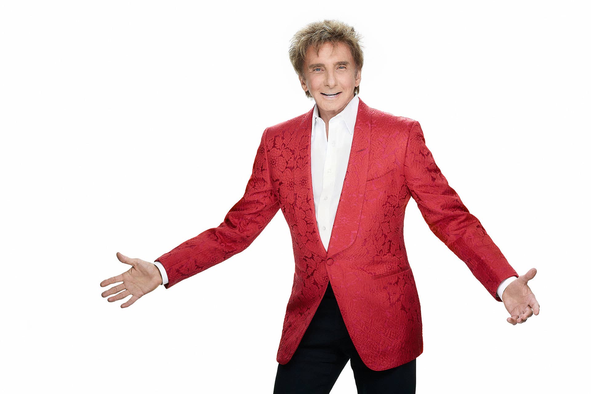 Thumbnail for Barry Manilow with Orchestra