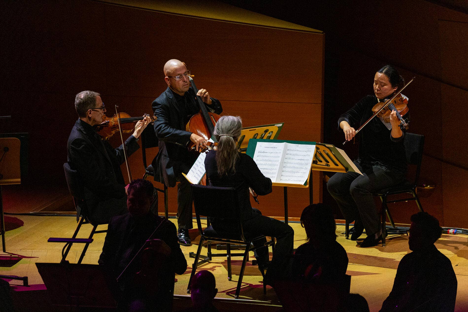 Thumbnail for Symphonies for Youth: Harmony and Structure: An introduction to the string family
