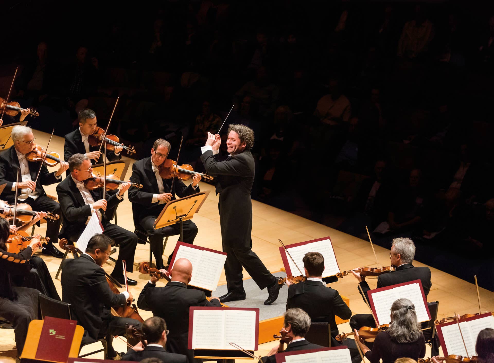 Thumbnail for (Canceled) Gustavo Conducts Gurrelieder
