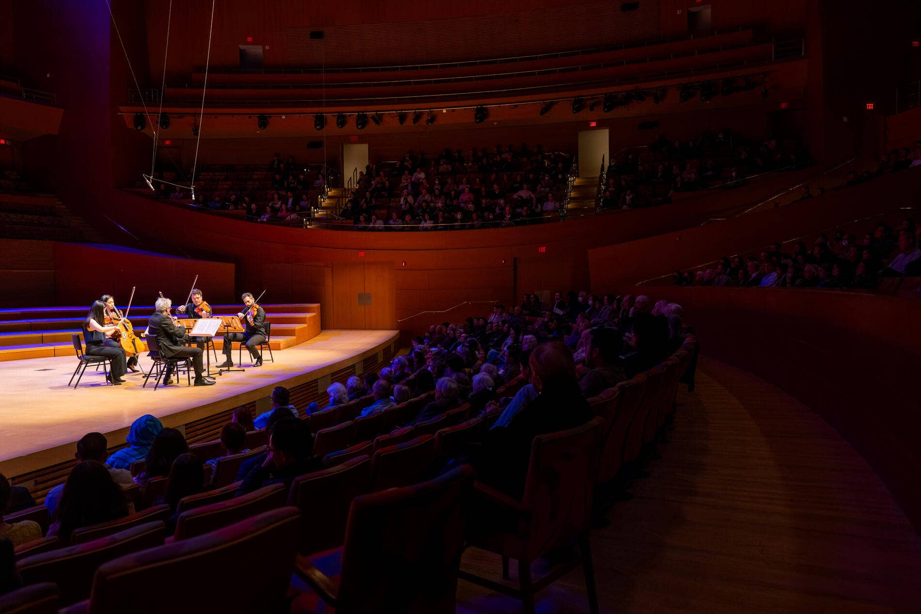 Thumbnail for Brahms Strings