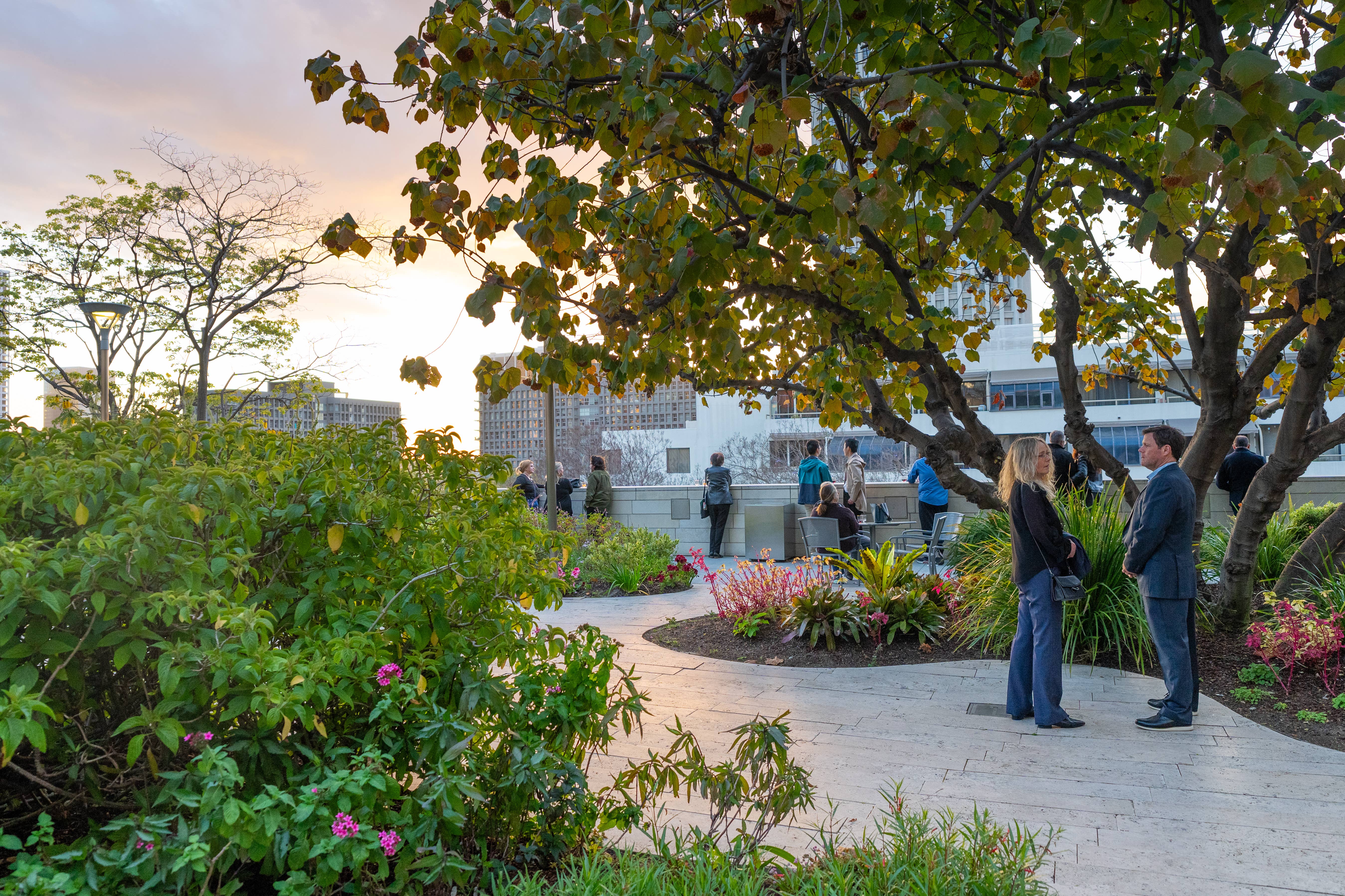 La gente pasea al atardecer por un paseo ajardinado bajo grandes árboles frondosos, cerca de modernos edificios de oficinas.
