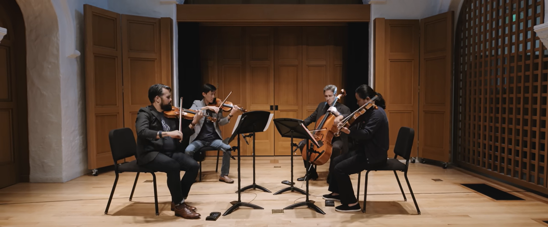 Quartettsatz: Franz Schubert