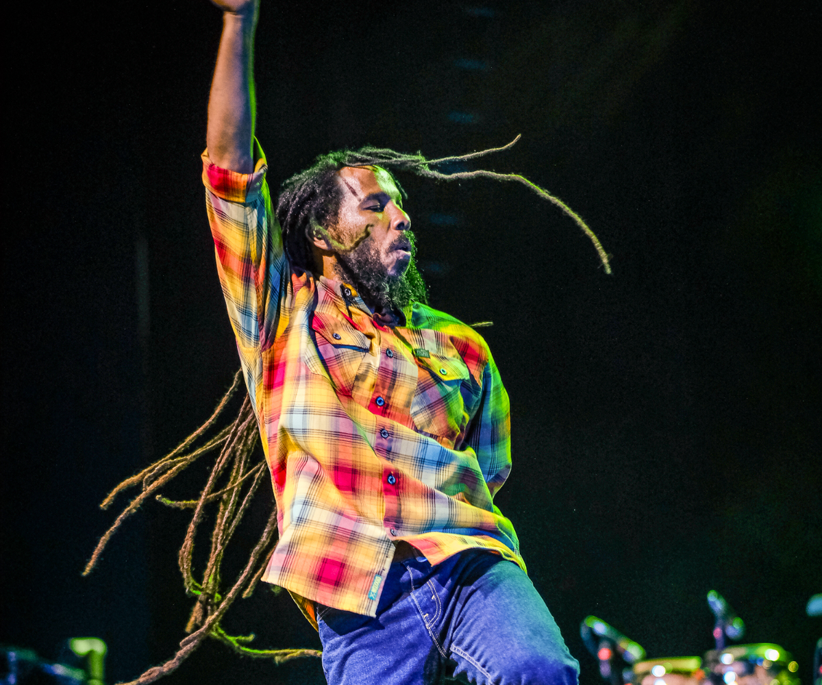 Ziggy Marley