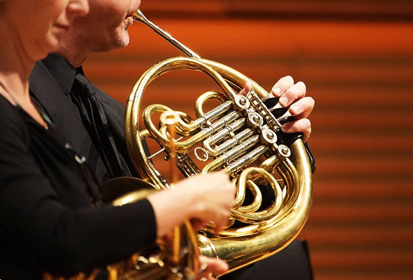 Chamber Musicians