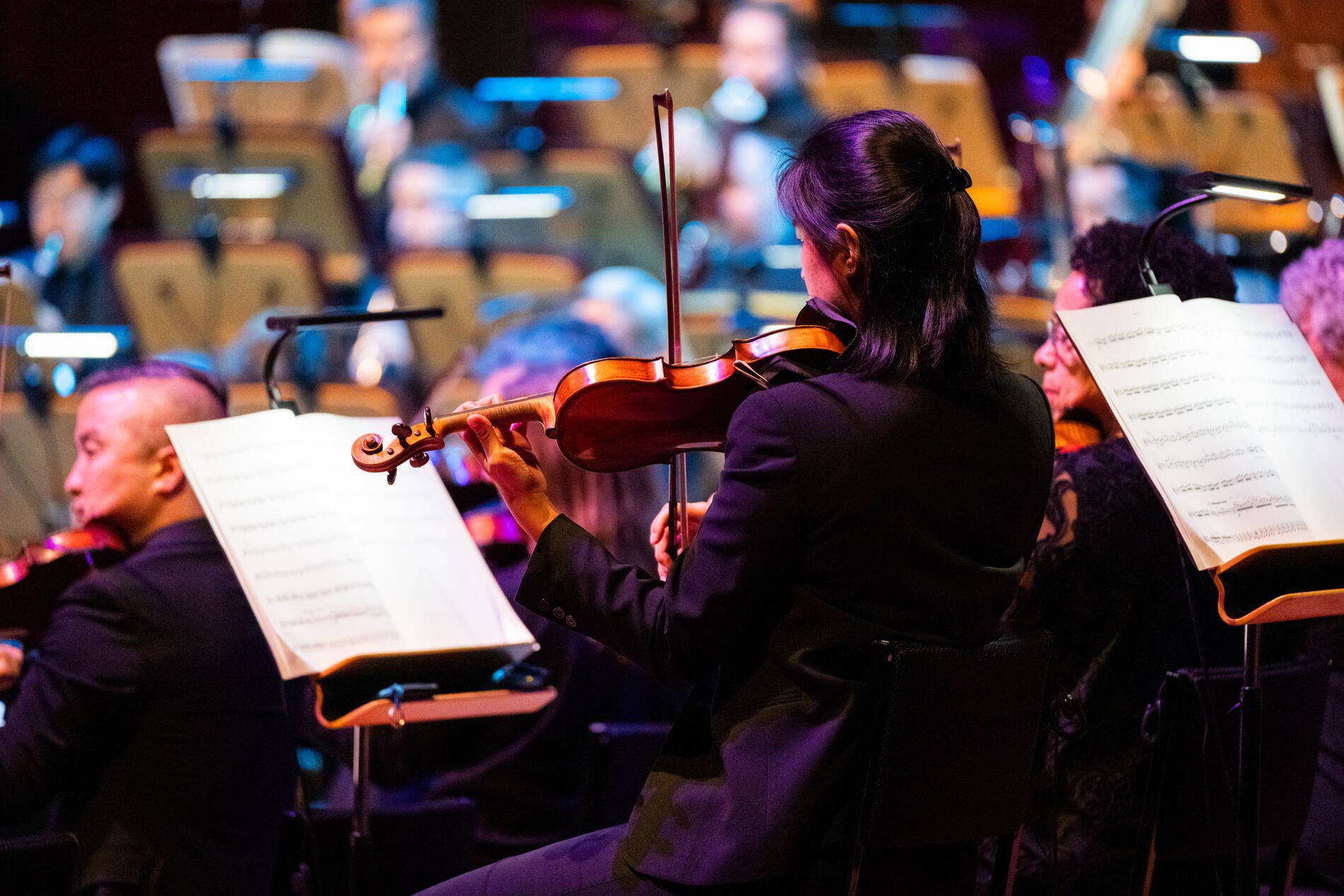 Walt Disney Concert Hall classical performance