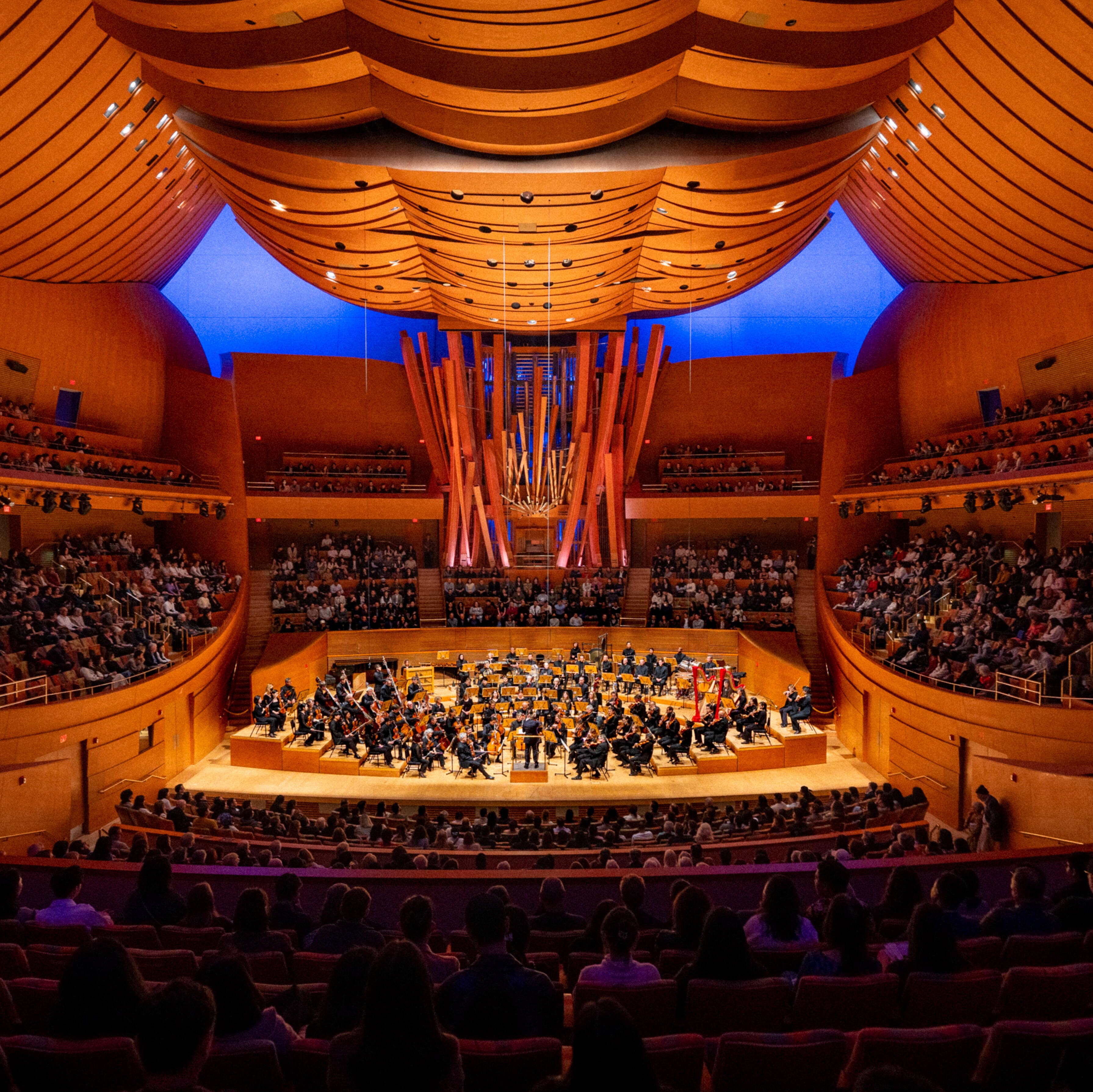 Classical performance at the Walt Disney Concert Hall