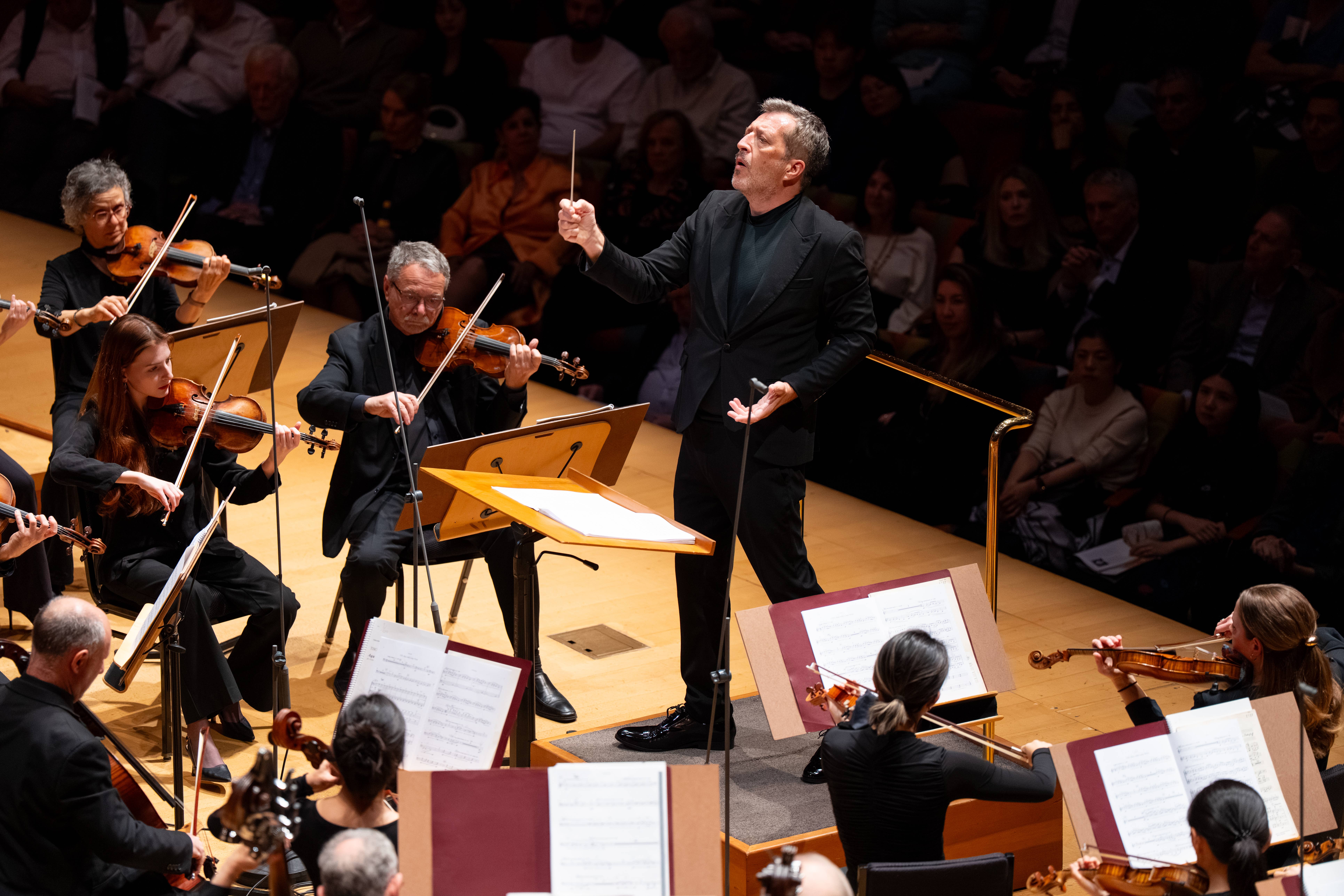 director de orquesta un traje oscuro, dirige a los músicos con las manos en alto mientras los violinistas y los violonchelistas tocan en la sala de conciertos.