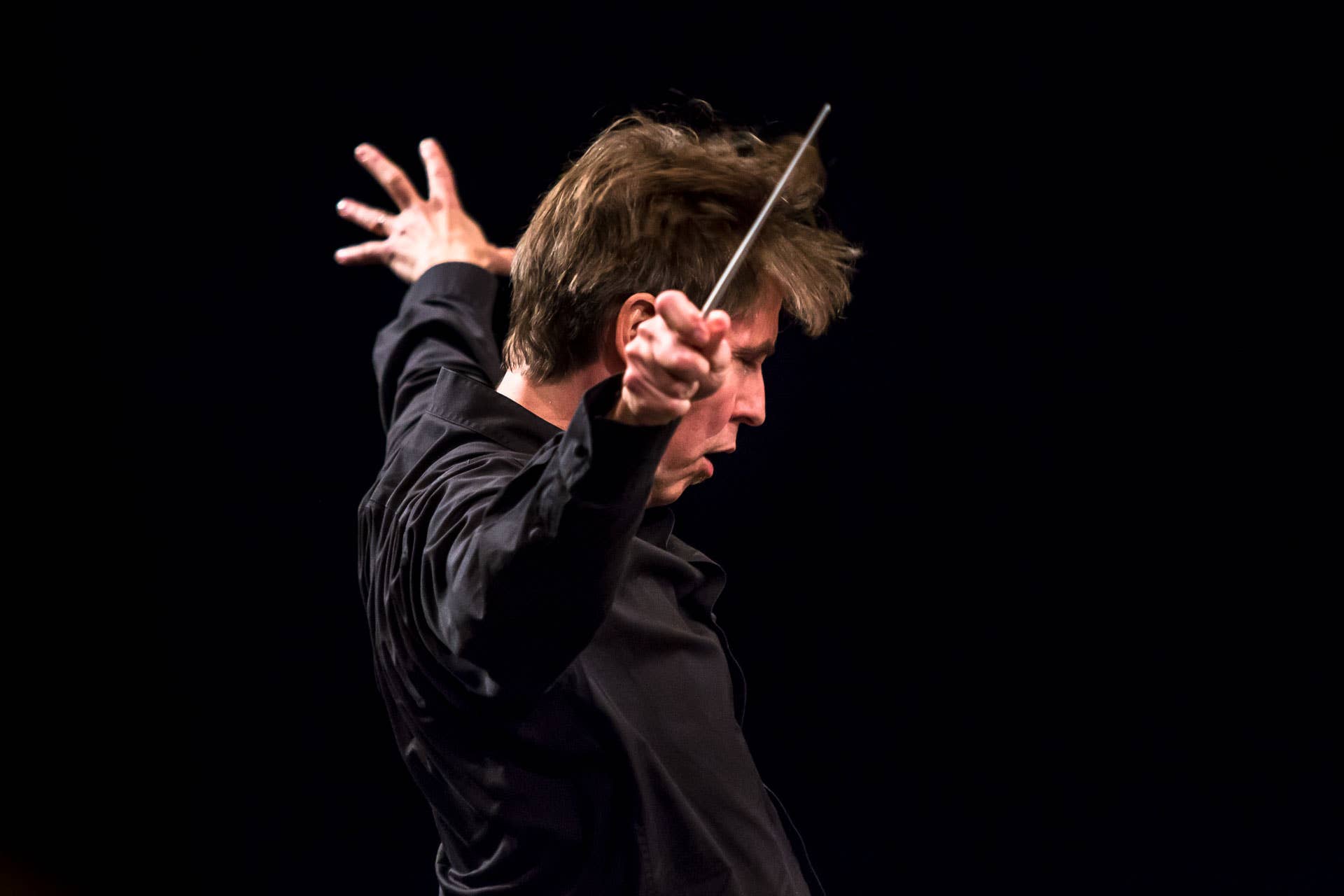 Thumbnail for Salonen & Sibelius