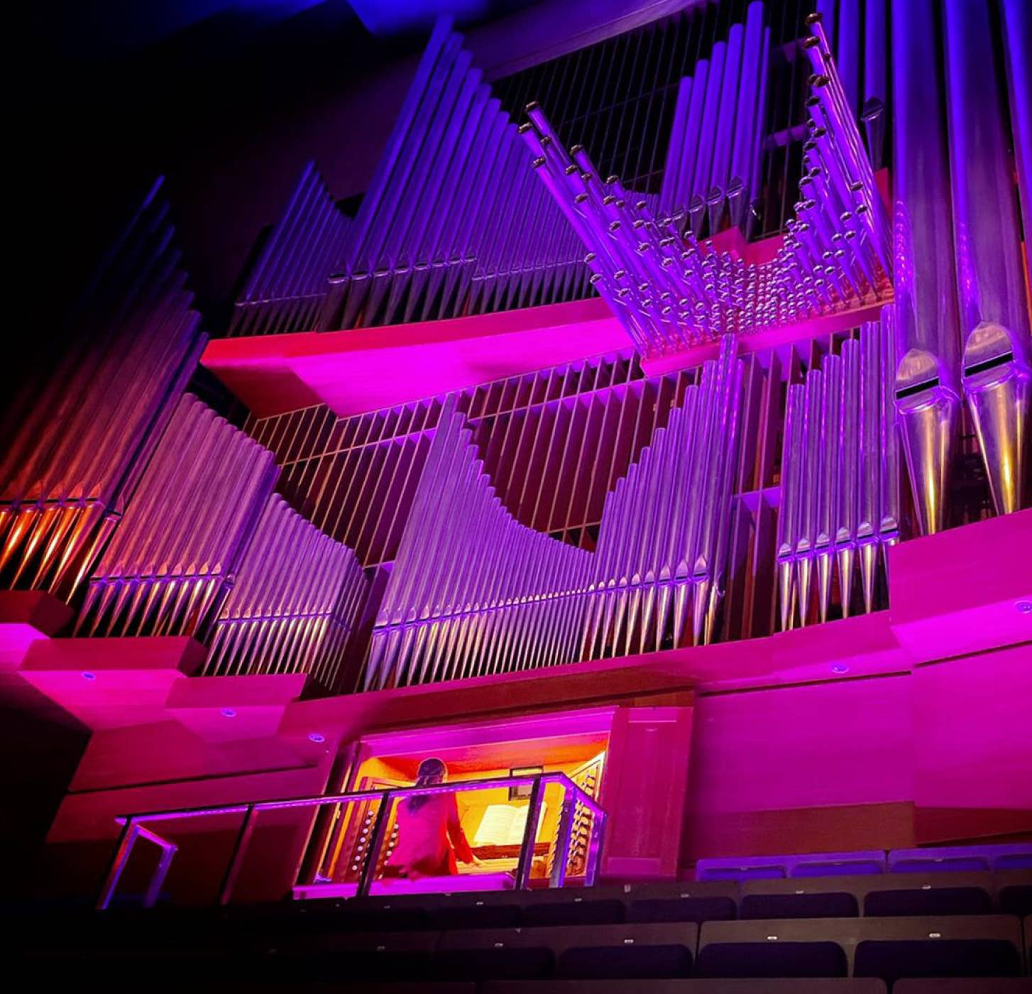 Anna Lapwood performs Max Richter