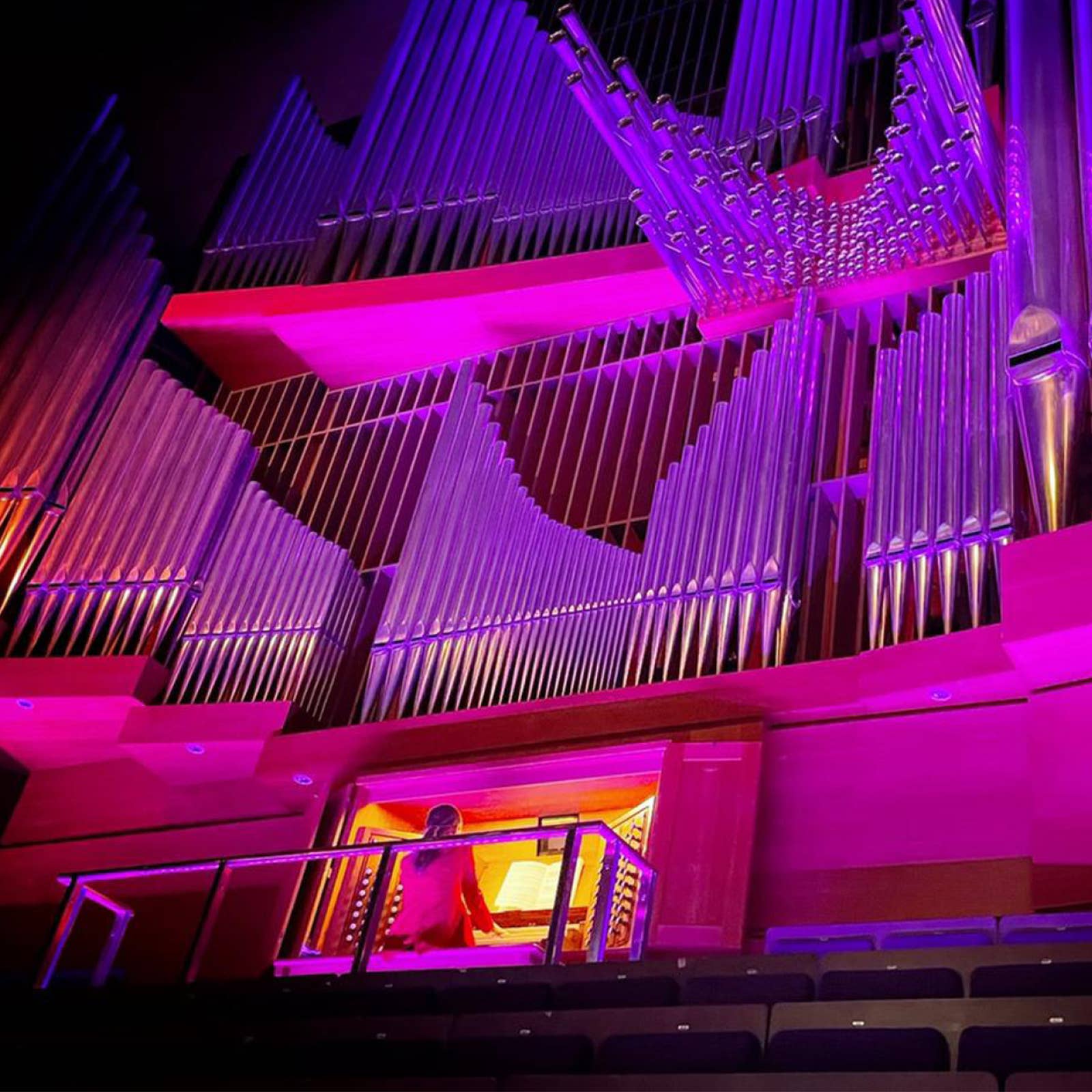 Person playing a large pipe organ illuminated by vibrant purple and pink lights.