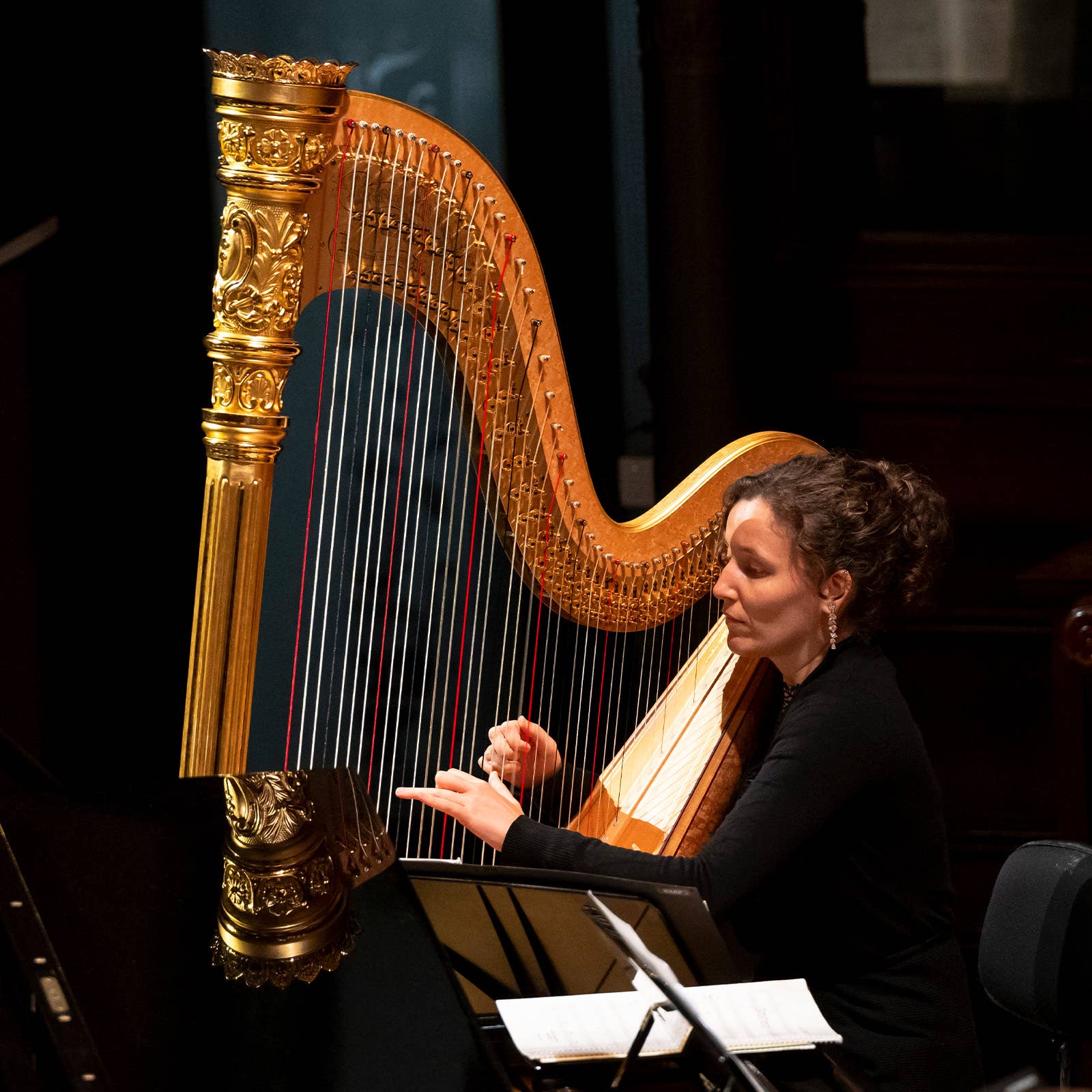 Musician plays ornate golden harp on stage, plucking strings while reading sheet music under warm lighting.