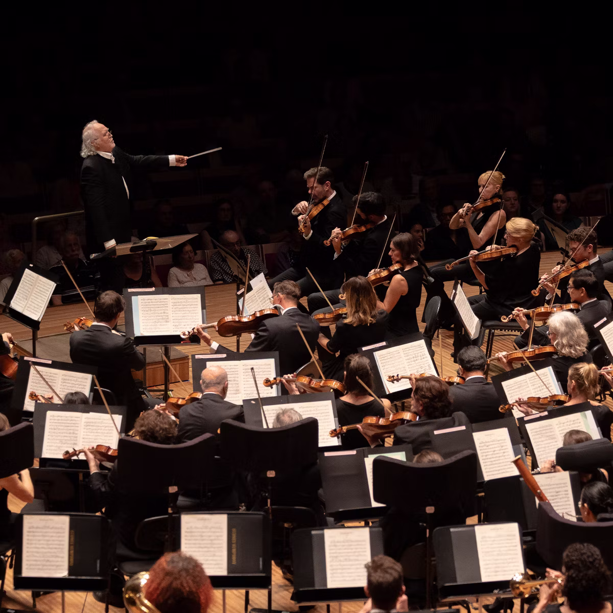 Orchestra performance with conductor leading seated string section of violinists and cellists under stage lights