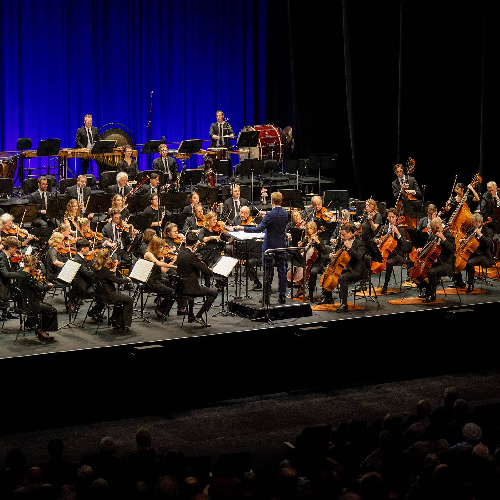 Orchestra performing on a concert stage with strings, brass, percussion, led by a conductor under blue lighting.
