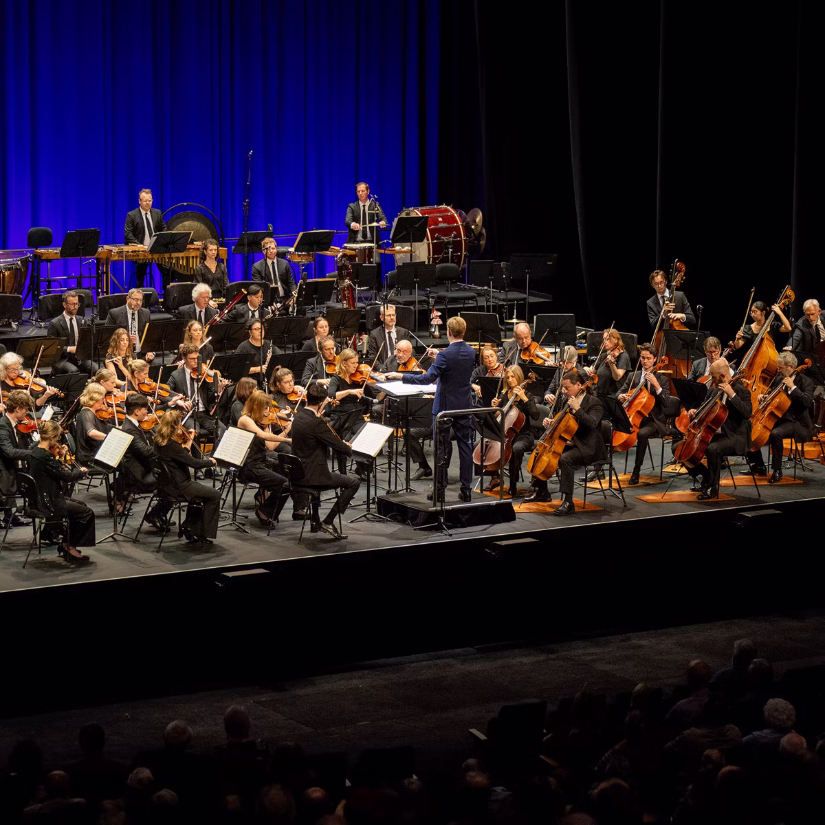 Orchestra performance with conductor and musicians seated with strings, winds, percussion on a concert stage under blue lights