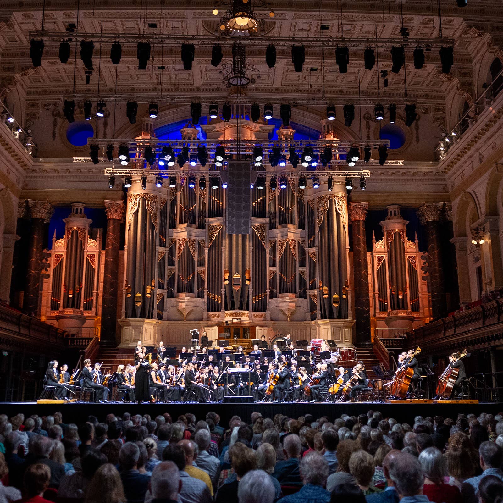 Orchestra and conductor onstage in a grand concert hall with illuminated pipes and blue stage lights