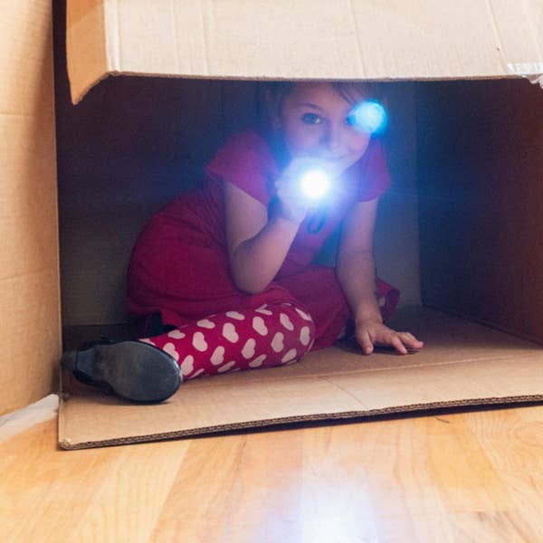 FORTS! Build Your Own Adventure